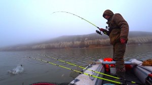 СОГНУЛО ДО ВОДЫ... ОНО БЕРЁТ СНОВА И СНОВА!!! РЫБАЛКА ОСЕНЬЮ НА ЛЕЩА