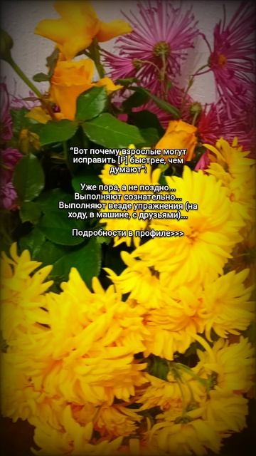 “Вот почему взрослые могут исправить [Р] быстрее, чем думают”: смотреть онлайн