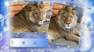 Доброе утро!