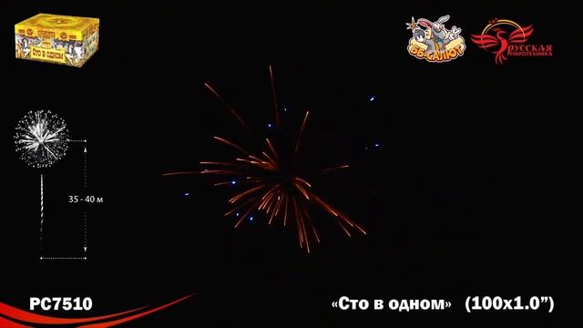 Фейерверк РС7510 Сто в одном (1" х 100)