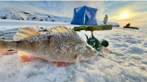 ПЕРВЫЙ ЛЁД ПОКРЫЛСЯ СНЕГОМ И ПОШЛИ ГОРБАЧИ!