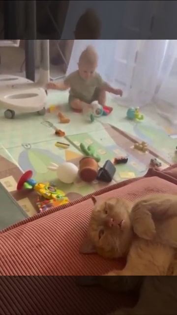 Котик, я иду тебя любить