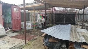 На даче / Стройка / У нас появился домашний питомец / Оживление фото / Влог