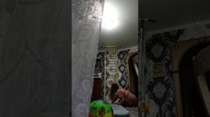 связка.физкультура и спортивные упражнения.