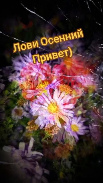 Осень прошла началась зима