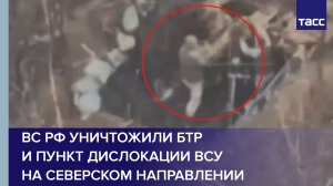 ВС РФ уничтожили БТР и пункт дислокации ВСУ на северском направлении