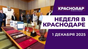 Неделя в Краснодаре 29.11.25: Готовимся к разговору с губернатором, Делегация из Восточного Сараево