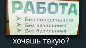 ZiIi Team Ссылка на проект в описании