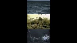 ТИК_ТОК___МЕМЫ_6