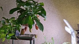 Занятие на вечер