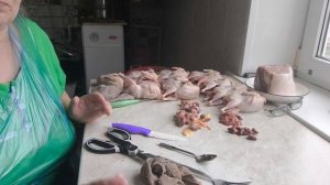 ПЕРЕПЕЛКИ _ ВАКУМИРУЮ!. ТВОРОГ _ ПЛАСТОВОЙ!.