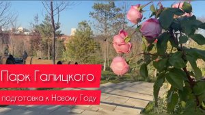 Парк Галицкого в декабре. Подготовка к Новому Году✅