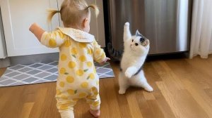 Когда твой кот — самый большой друг малыша 😻