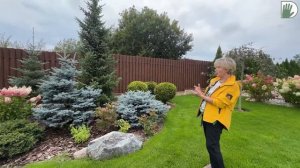 Видео журнал "СОФ №157" - КРАСИВЫЕ и УДОБНЫЕ РЕШЕНИЯ. Авторский сад Натальи Китовой