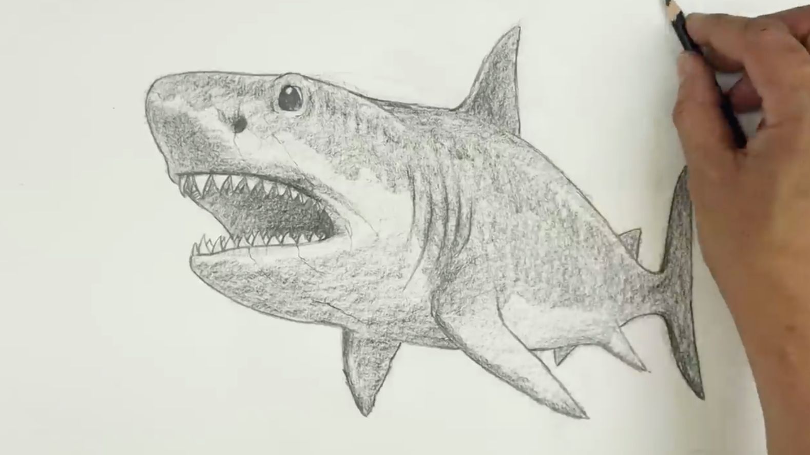 Как нарисовать Акулу карандашом просто и легко