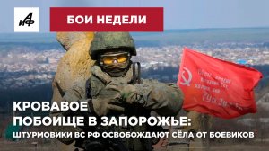 Кровавое побоище в Запорожье: штурмовики ВС РФ освобождают сёла от боевиков