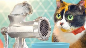 СДЕЛАЛИ КОРМ ДЛЯ КУКИ )