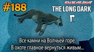 Все камни на Волчьей горе. В охоте главное вернуться живым... | The Long Dark #188