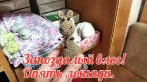 Запоздалый влог! Опять лошади.