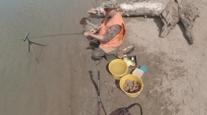 РЫБАЛКА В ПРОВОДКУ НА ПОПЛАВОК / Рыбалка на реке Кубань 🔴ОХОТРАДИО