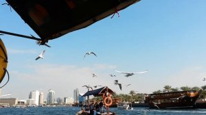 На лодке доу  по каналу Дубай Крик