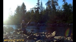 Кольский "жаркий сезон-2024" ч 2. В поисках хариуса