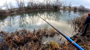 Рыбалка на поплавок 1 декабря 2025 г.на дикой лесной реке!Убийца Плотвы!Зимняя Рыбалка 2025.