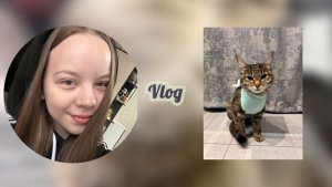 Vlog/ Сонная🥱 / Очень переживаю😬 / Делаем Феньке стерелизацию🐈❤️🔥