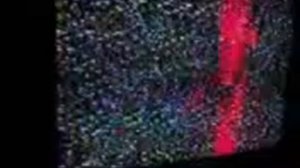 (фэйк) RVA: ru-khsm.3gp