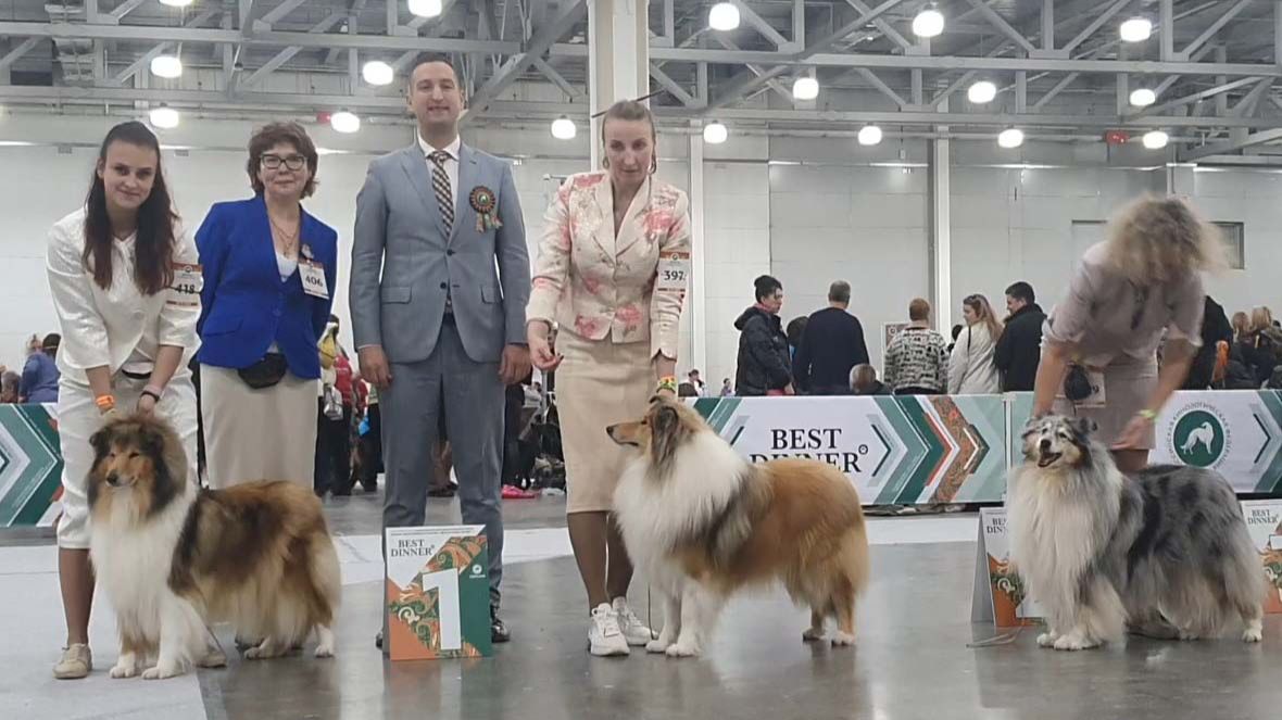 16.11.2025, Москва, РКФ. "ЕВРАЗИЯ-2025-2". Ринг КОЛЛИ Д/Ш