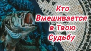 Вы должны это услышать❗кто вмешивается в твою судьбу⁉️🍀🍁