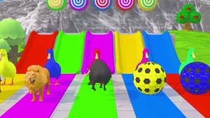 Мультики про милых зверят. Найди своего любимчика! Смотри мультики про животных.