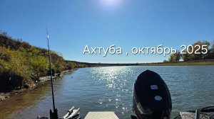 Ахтуба , октябрь 2025.