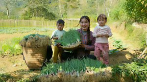 Уход за цыплятами и утятами. Собираю зеленый лук на продажу с двумя маленькими детьми. Вьетнам.Дуонг