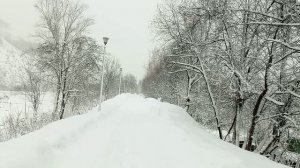 ЗИМНЯЯ ПРИРОДА РОССИИ ХРУСТИМ СНЕГОМ