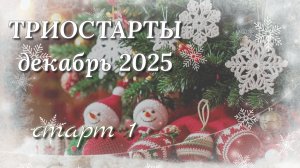 Начала двенадцатый котошарф. СП Триостарты декабря. Старт 1. Котошарф спицами.