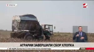 Сбор хлопка завершили в Туркестанской области.mp4