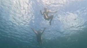 Прогулка, море, Утриш, съёмка под водой, Анапский район