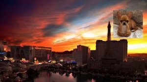 Стрим понедельника / 1 декабря 2025 года