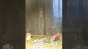 Что вам по Судьбе в ближайшие месяцы?!Счастливые случайности!