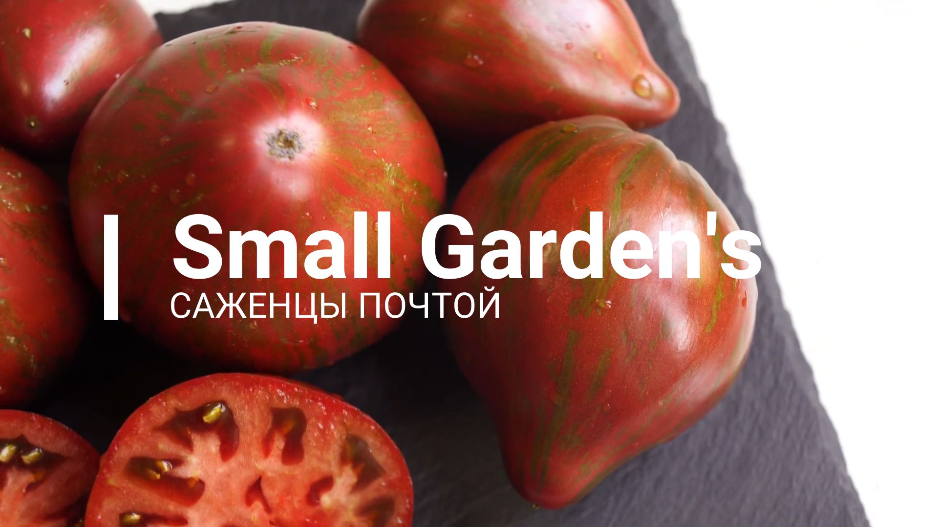 Томат Мятежный Звездный Истребитель. Семена томатов | Small Garden's