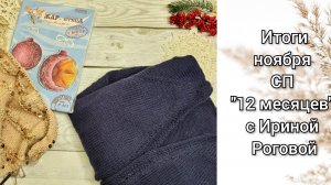 Итоги ноября план на декабрь СП "12 месяцев" с Ириной Роговой. Довязала кардиган сыну.