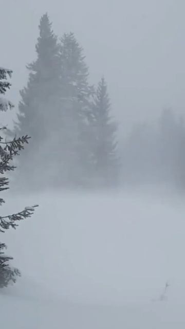 Вьюга. Звуки для сна смотреть онлайн