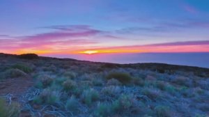 красивая природа