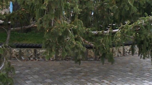 DSCN8475Осенний Железноводск.Белочка хозяйка железноводского парка ноябрь 2025