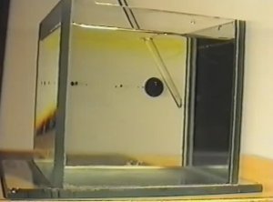 Физика. Опыты. Опыт Плато