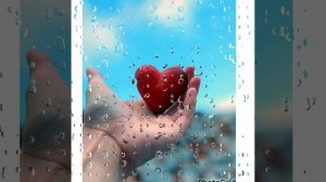 Нежность Владимир Журавель
текст  Николай Евсюков