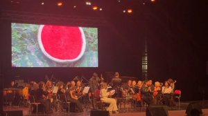 Арбуз . Бурак Озчивит в Астрахани