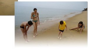 2013 01 Шри-Ланка. Отель на берегу океана - январь 2013