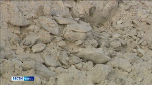 Вести-Томск, выпуск от 29.11.2025 20:50